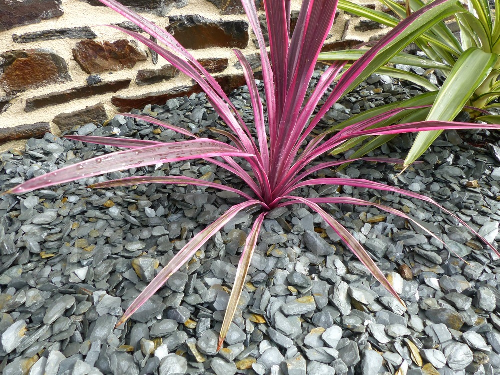 Paillage ardoise gris 10-30 pack 13 m² - 31 sacs - 775 kg