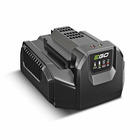 Chargeur standard ego power+ ch2100e
