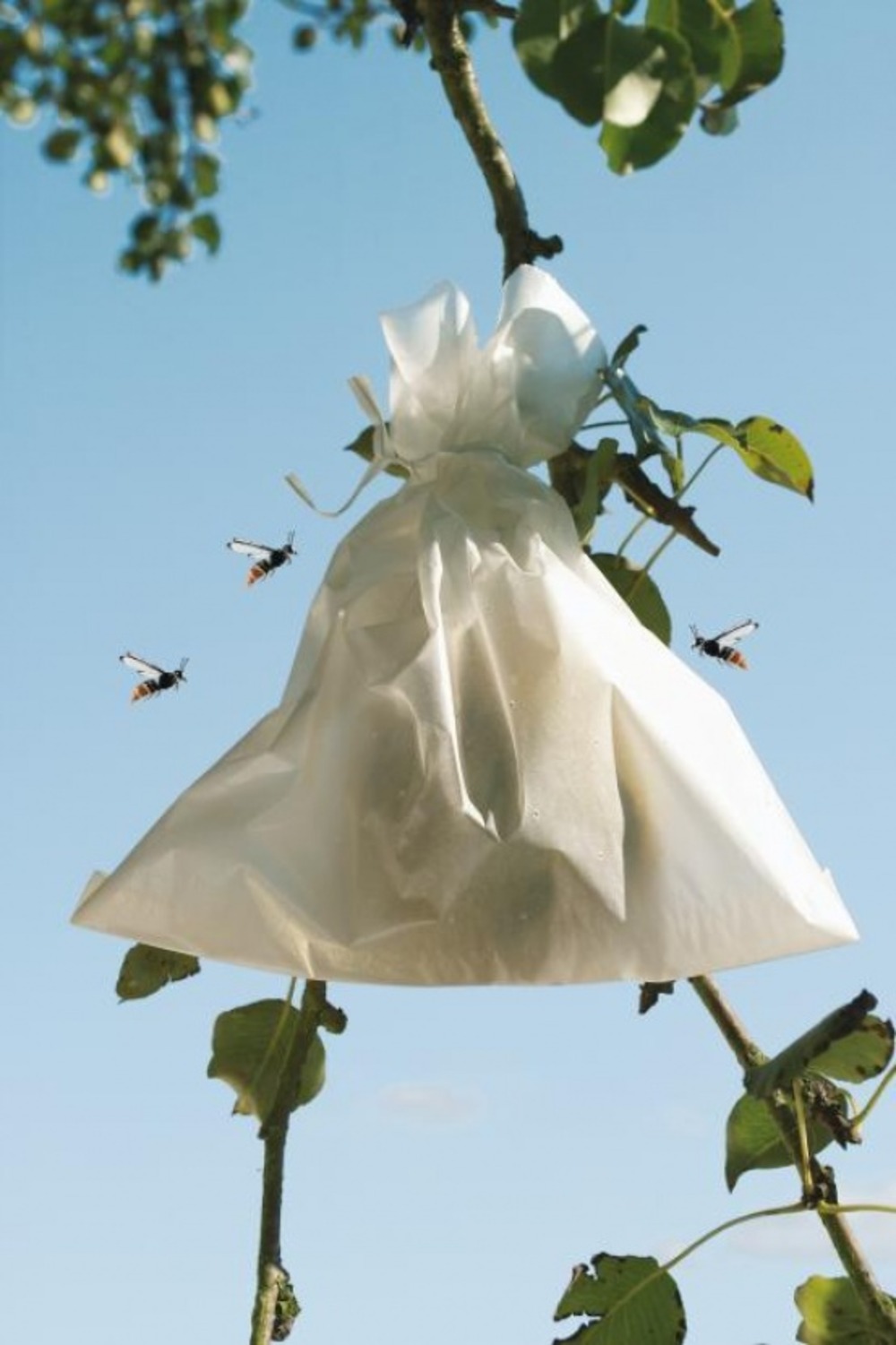 Housses à fruit 20 x 30 fruitsac