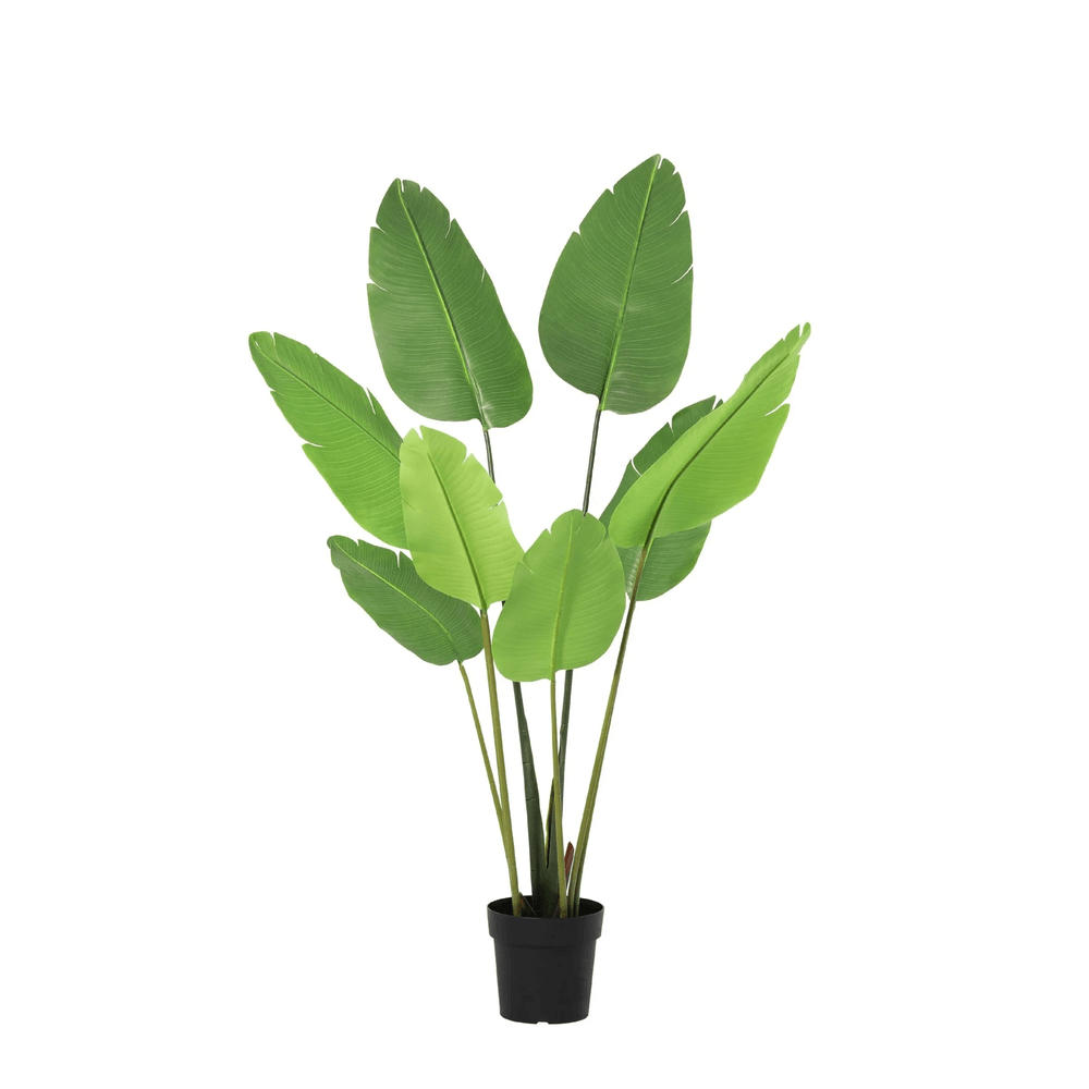 Strelitzia nicolai - 155cm - ø22cm - plante artificielle