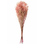 Bouquet de fleurs sèchées en bois rose 10x5x84 cm