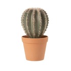 Cactus artificiel boule en pot 24x15x13 cm