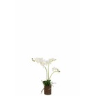 Plant d'orchidée en textile blanc 30x15x52 cm