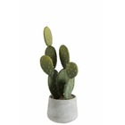 Cactus artificiel avec pot en plastique vert 17x17x50 cm