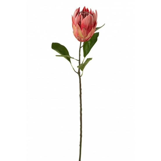 Branche de protea en plastique rouge 20x11x67 cm