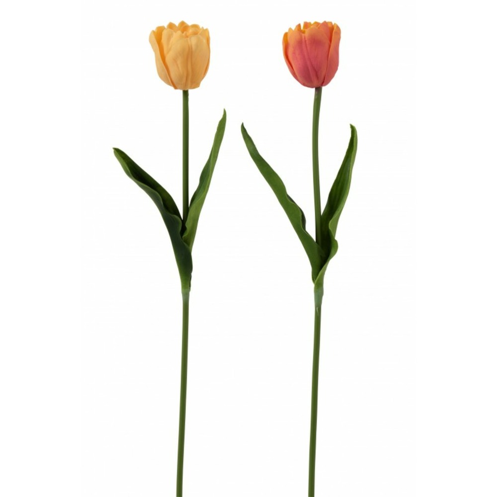 Set de 2 tulipes en plastique multicouleur 8x5x52 cm
