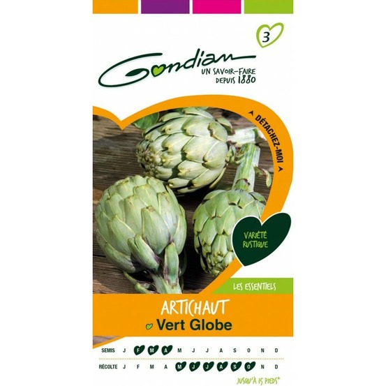 Artichaut vert globe