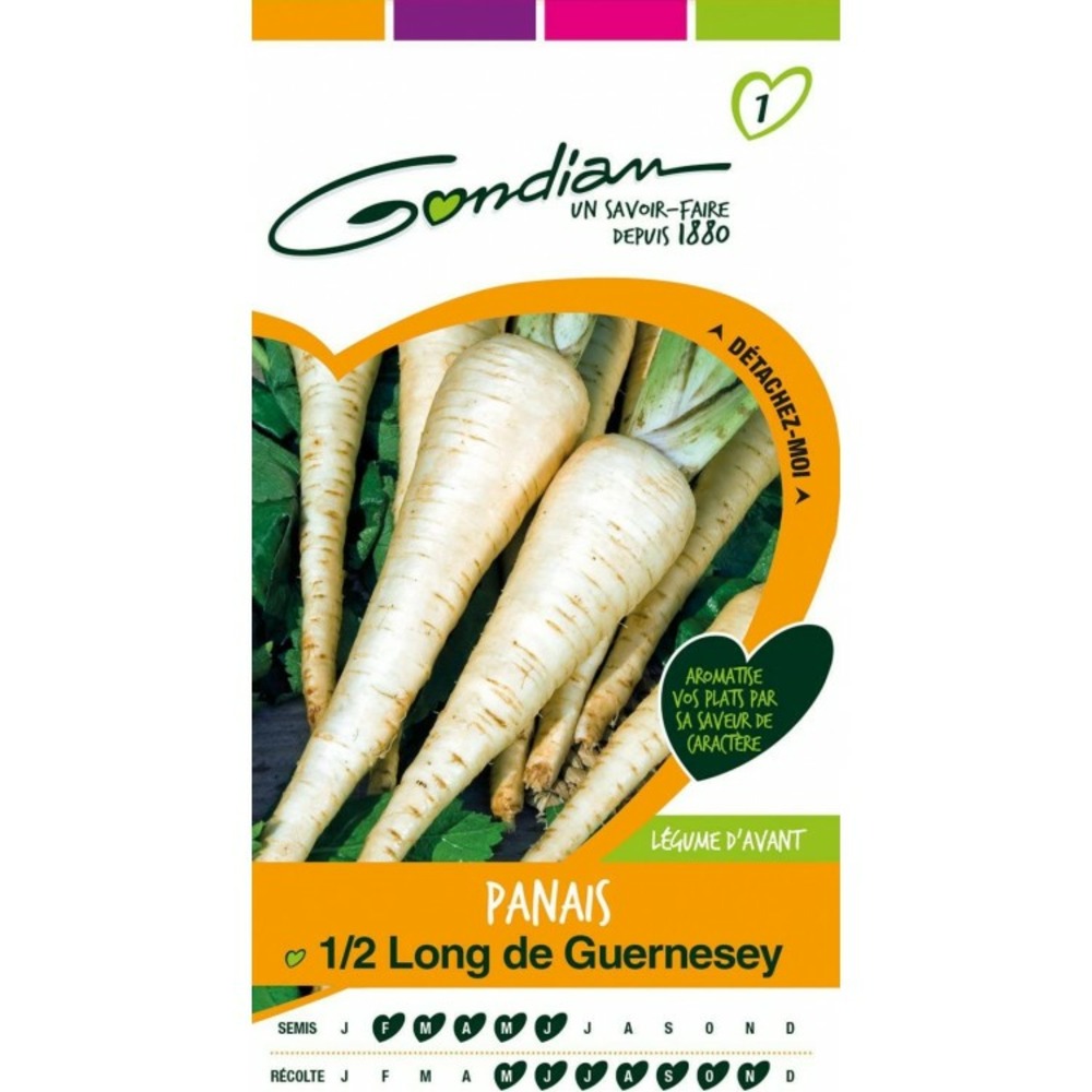Gondian panais 1/2 long de guernesey