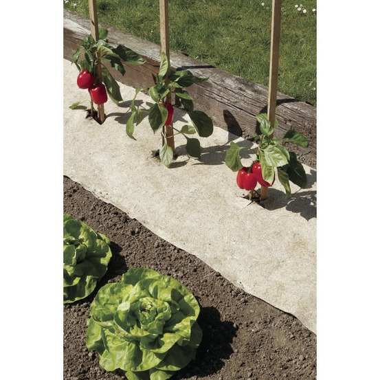 Chanvrelin 500 0,40x0,40m