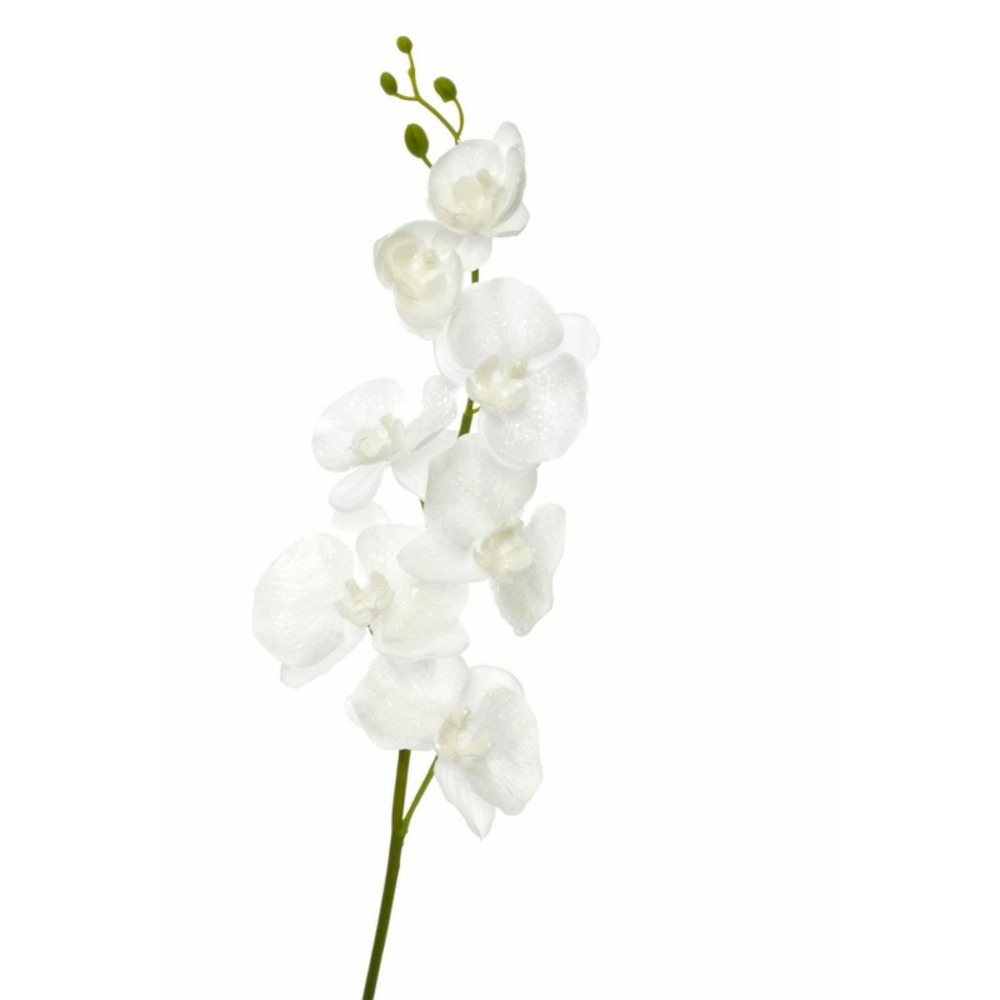 Orchidée en plastique blanc 12x5x98 cm