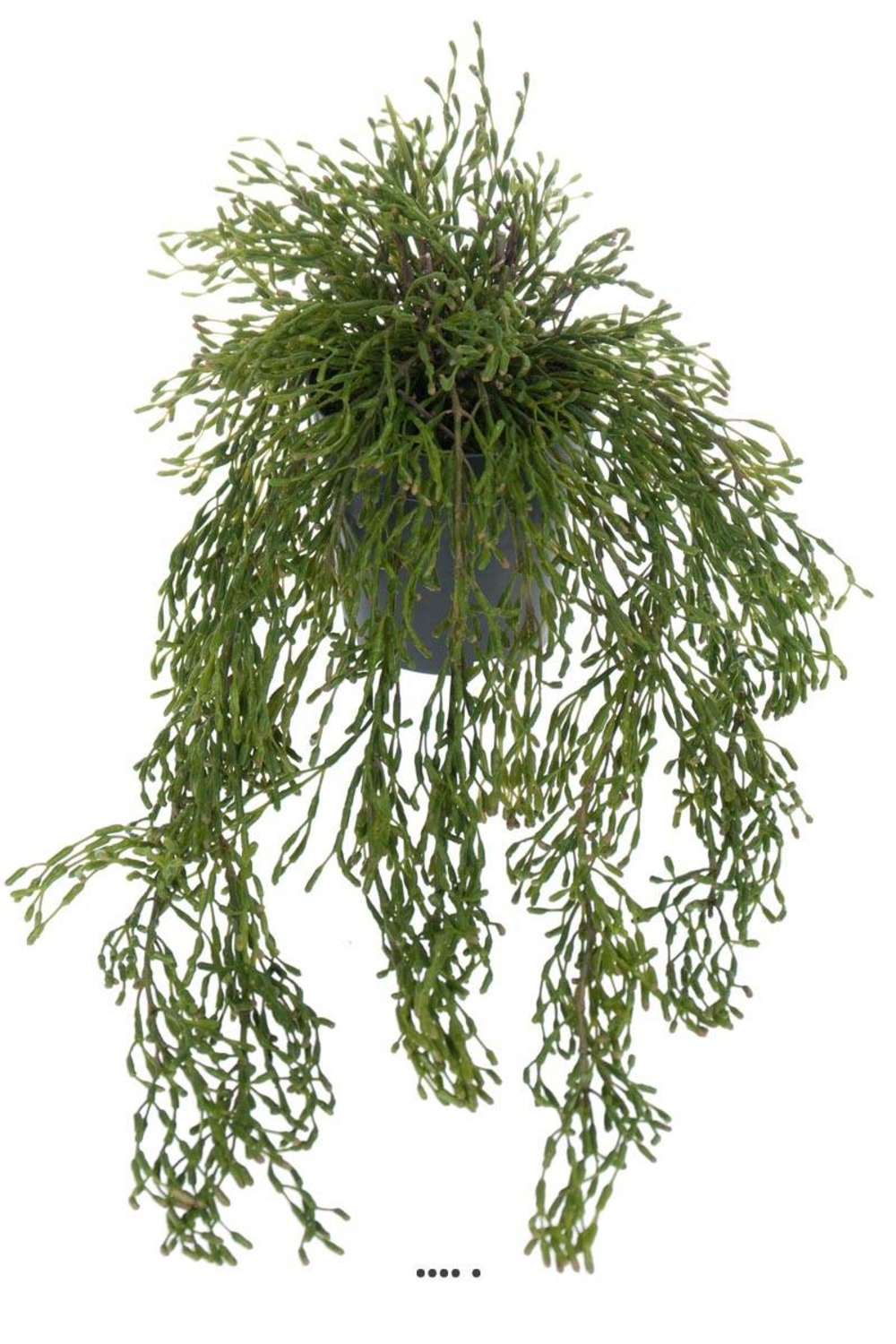 Rhipsalis artificiel, cactus gui feuillage dense, l 65 cm