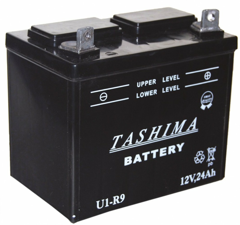 Batterie pour tondeuses autoportées 12v, 24a (livrée sans acide)