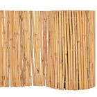 Clôture bambou 500 x 30 cm