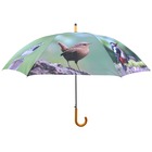 Parapluie birds 120 cm tp178