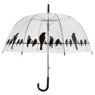 Parapluie transparent "oiseaux sur un fil"  tp166