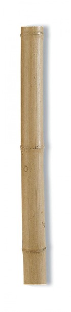 Tuteurs bambou décoratifs - naturel - diam 100/120 x 2,4m