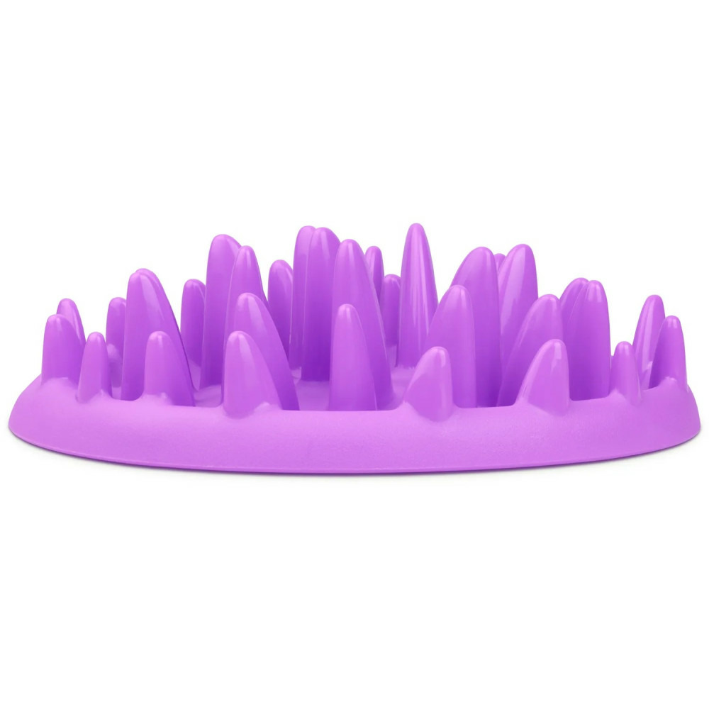 Gamelle plateau anti glouton 27 cm violet pour chat