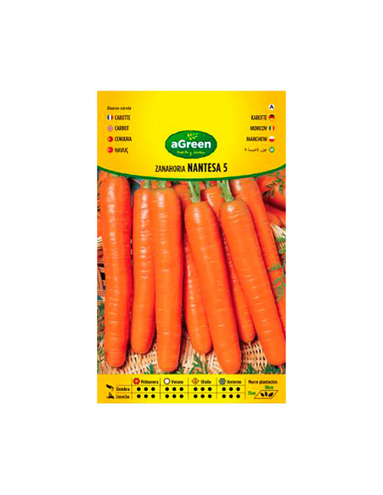 10 sachet de graines de carotte agreen nantesa