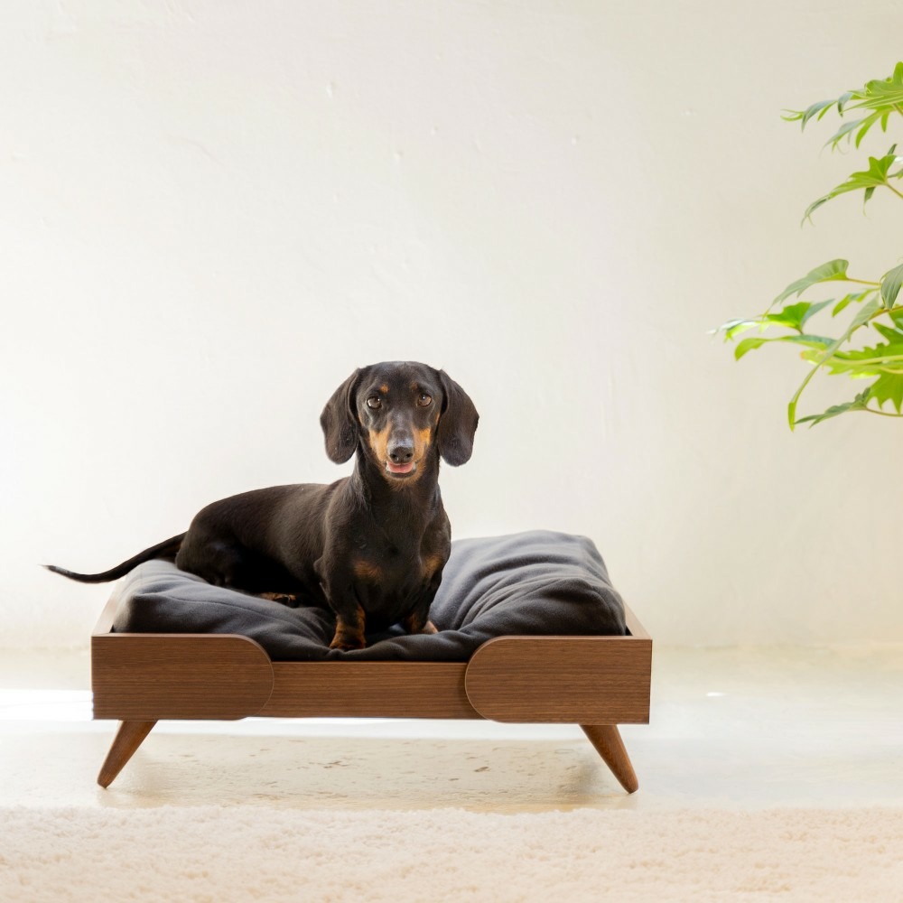 Kan - canapé chien design en bois et coussin moelleux amovible, 58x40x20cm
