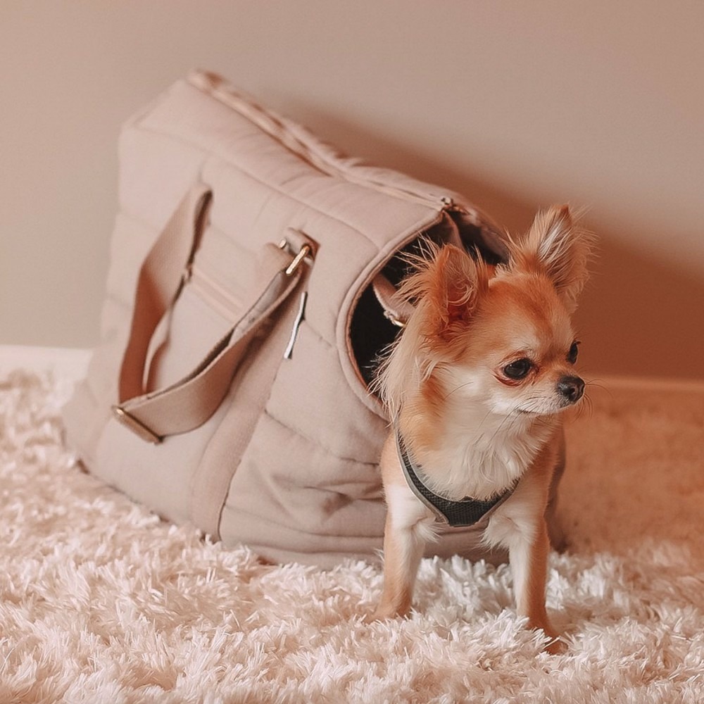 Comment choisir un sac de transport pour chien ?