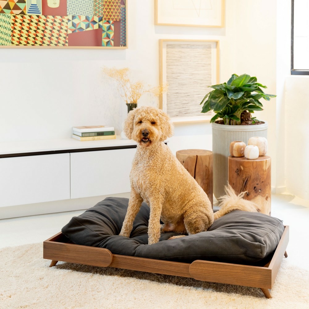 Kan - canapé chien design en bois et coussin moelleux amovible, 117x73x20cm