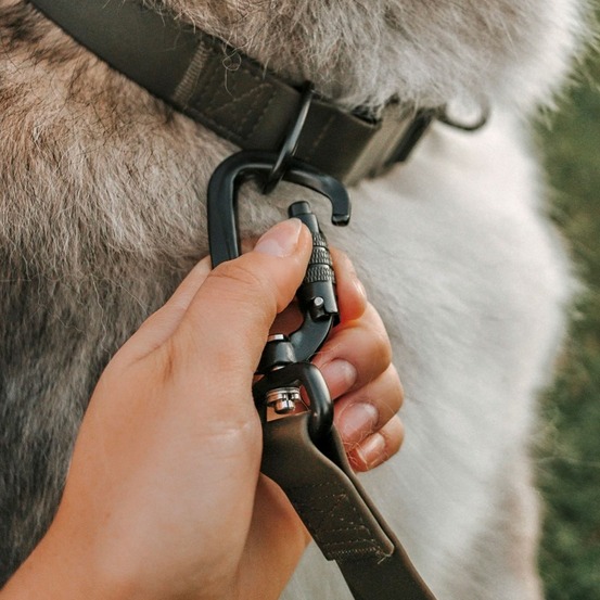 Mellem - laisse imperméable avec mousqueton aviation, kaki, 90-180x2,5cm