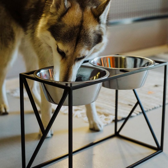 Yumi - set 2 gamelles surélevées grand chien, socle design noir, 21x42,5x30,5cm