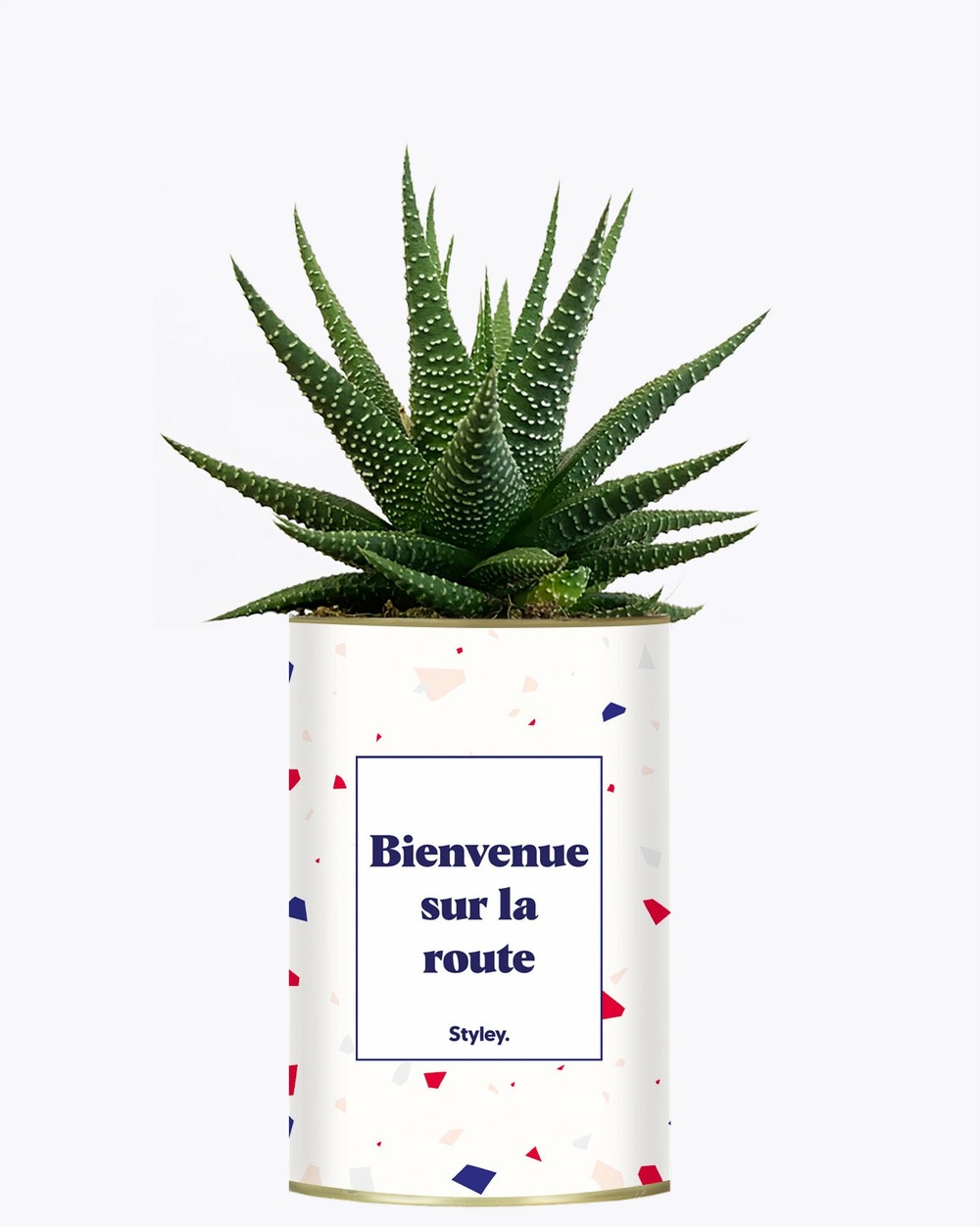 Idée cadeau - bienvenue sur la route - cactus