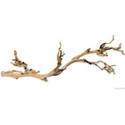 Décoration pied de vigne sablé - grand modele - pour terrarium exo terra