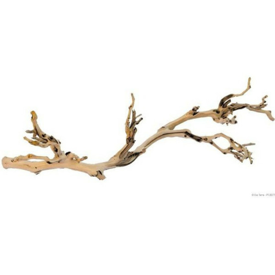 Décoration pied de vigne sablé - grand modele - pour terrarium