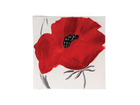 Tableau coquelicot 28 x 28 cm - 1 fleur rouge