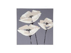 Tableau coquelicot 28 x 28 cm - 3 fleurs blanches