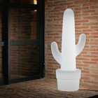 Lampe kaktus 70 en forme cactus lumière blanche froide par câble hauteur 110cm