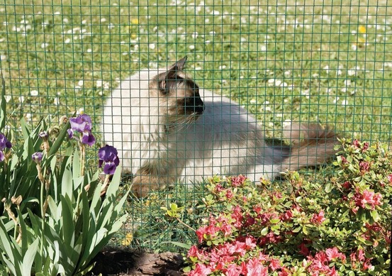 Grillage metal plastifié maille 1,2cm - 1 x 5m