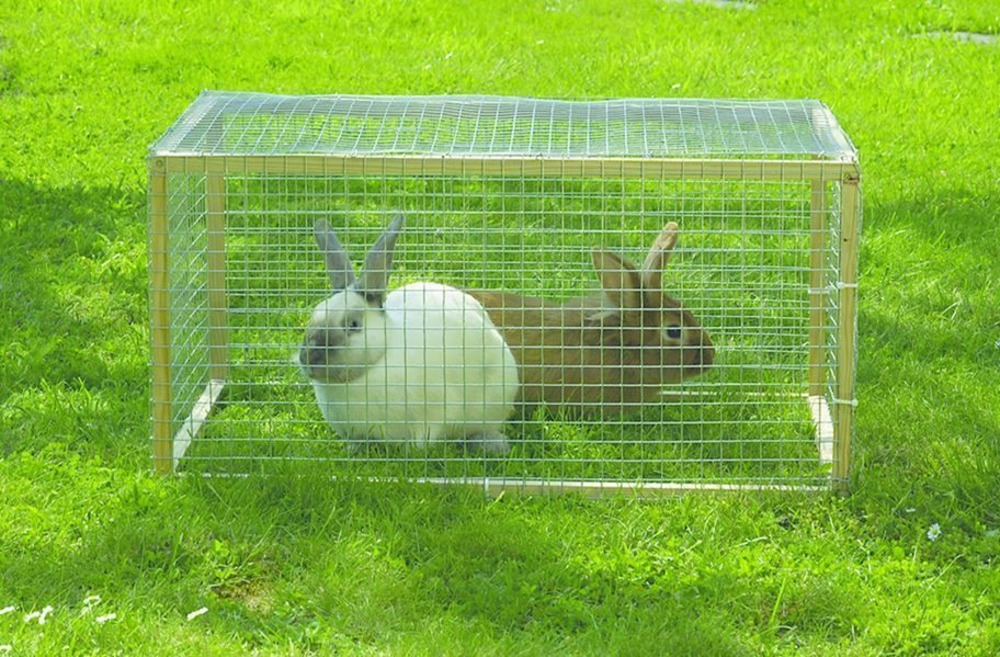 Grillage metal galva carré 1,2cm - 1 x 25 m - gris