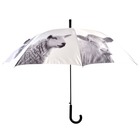 Parapluie animaux de ferme