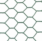 Grillage métal plastifié - 0,50 x 10 m/19 x 0,7 mm "galvanex plast 19" - triple torsion - vert