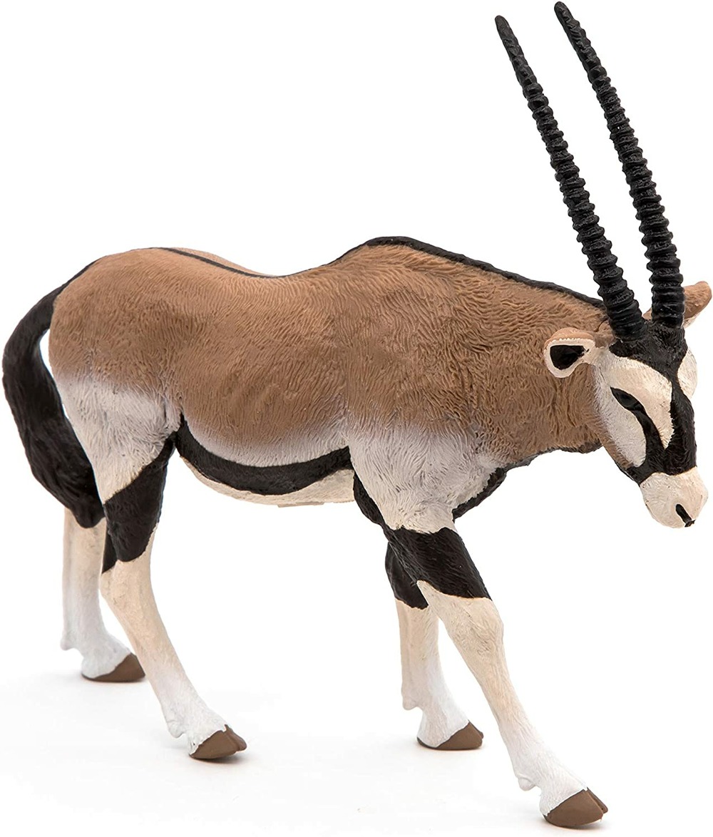 Antilope oryx