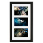 Cadre triptyque 40x23cm avec photos et passe-partout - animaux marins - phoques 01