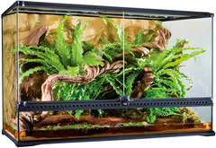 Terrarium verre  reptiles et amphibiens