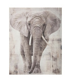 Tableau toile murale imprimée éléphant 38 x 48 cm
