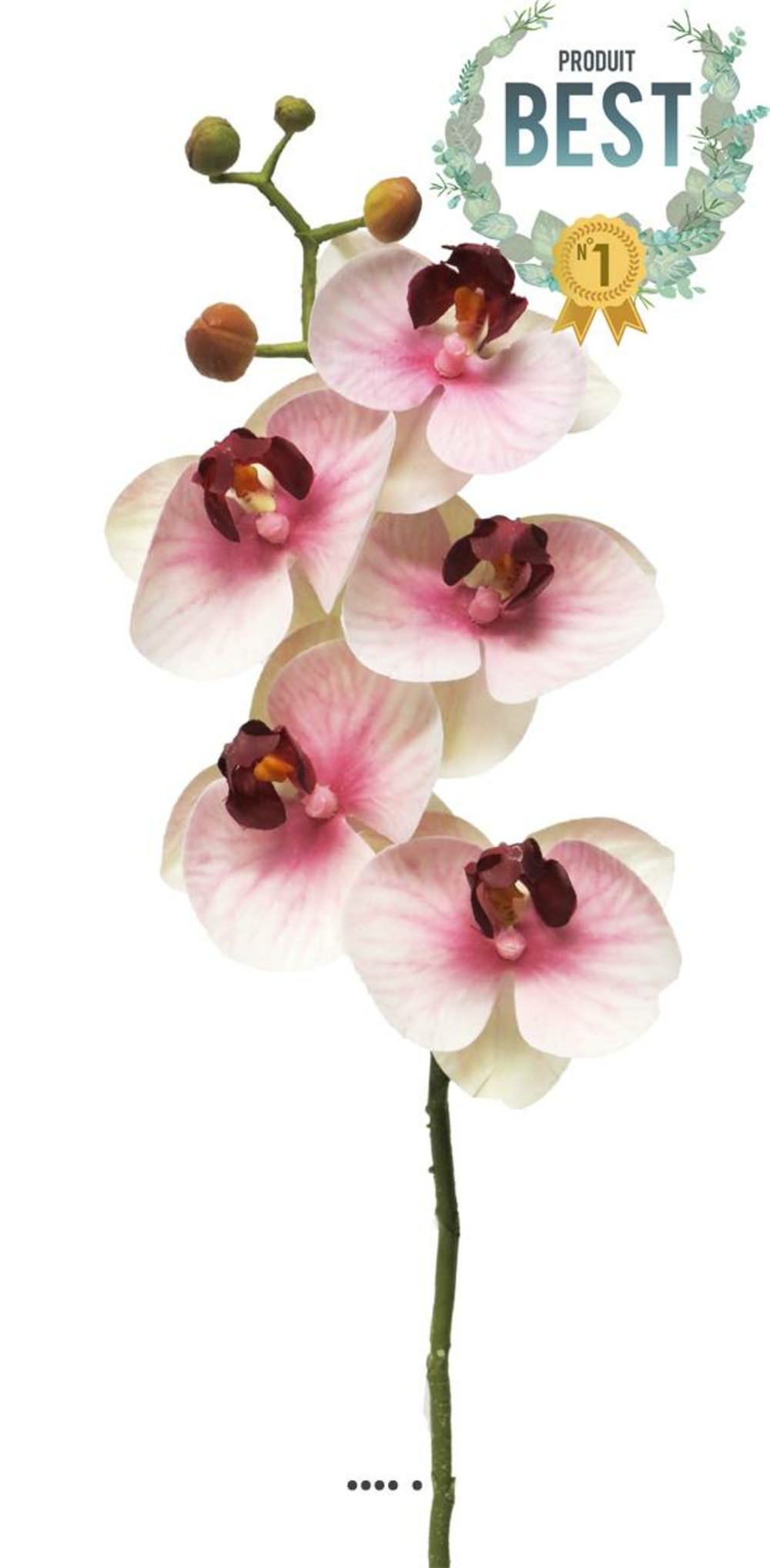 Tige orchidée phalaenopsis factice 5 fleurons h58cm pourpre-blanc best - couleur