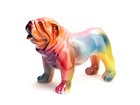 Bulldog usa rainbow s