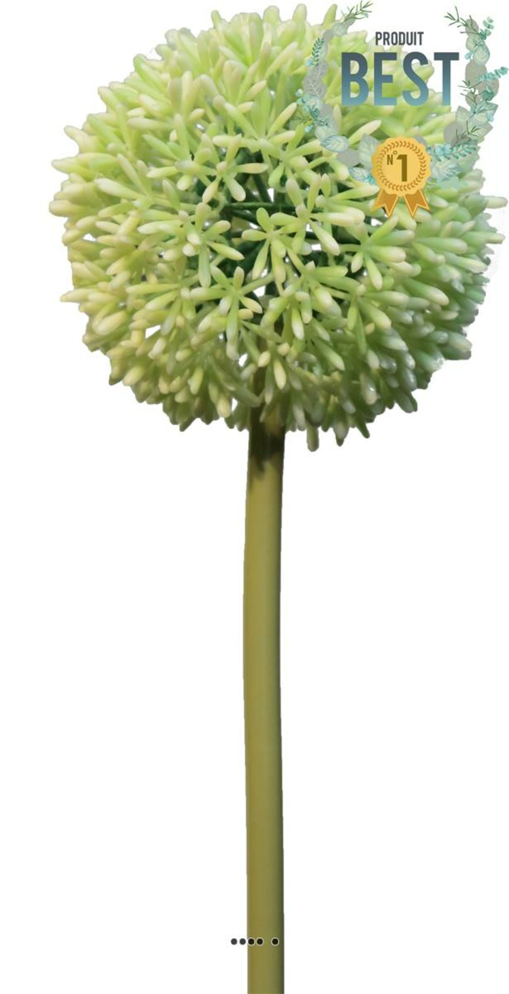 ALLIUM ARTIFICIEL EN TIGE 5-(939648)