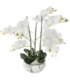 Plante artificielle orchidée en pot marbré h 62 cm