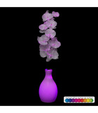 Branche d'orchidée avec vase et lumineuse à variation de couleur