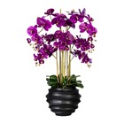 Orchidée factice 7 hampes vase résine noir h105cm d75cm mauve violet - couleur: