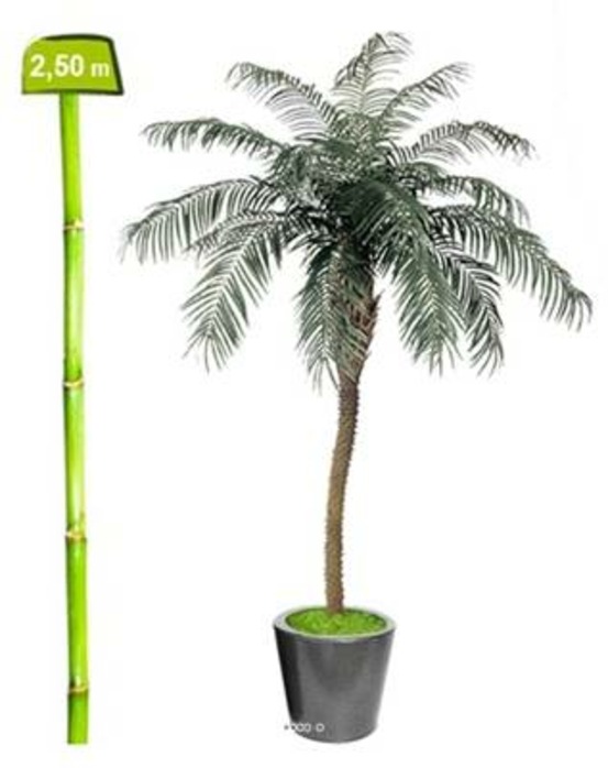 Palmier phoenix de luxe artificiel 250 cm 1715 feuilles - dimhaut: h 250 cm - co