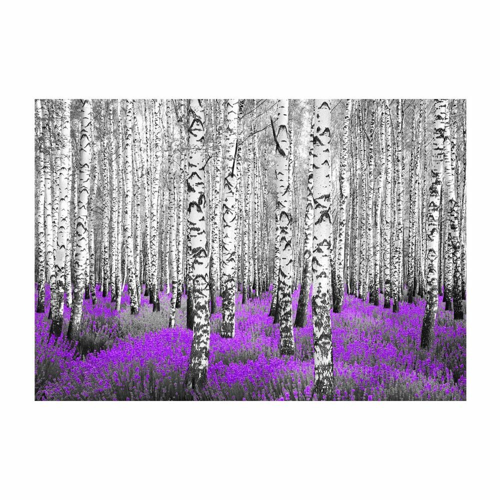 Papier peint - purple asylum 300x210 cm