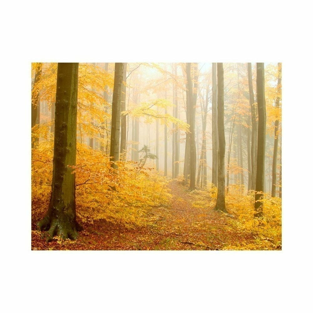 Papier peint - forêt - automne 300x231 cm